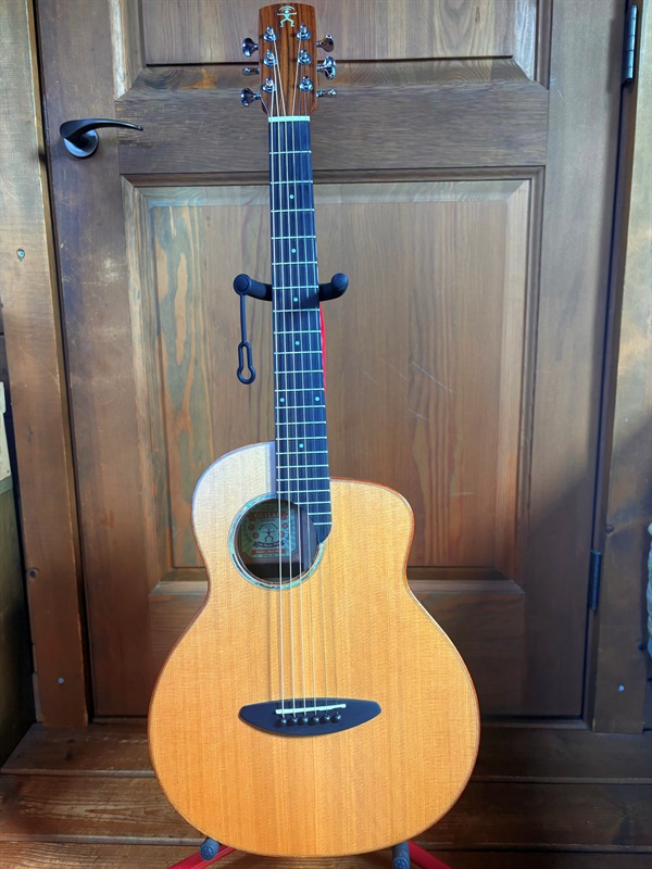 aNueNue Bird Guitar M60の画像
